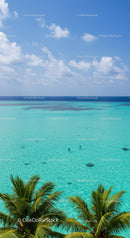 Pristine Tropical Beach with Crystal Clear Water and Palm Trees