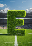 Large Grass Letter E Standing on Soccer Field