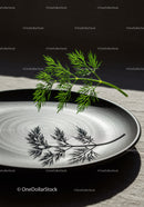 Fresh Dill Herb Casting Shadow on Black Plate