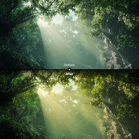 outdoor photography edit with Forest Warm Glow Lightroom presets