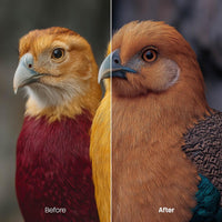 Retro Color Fade Night Presets (10 XMP files)