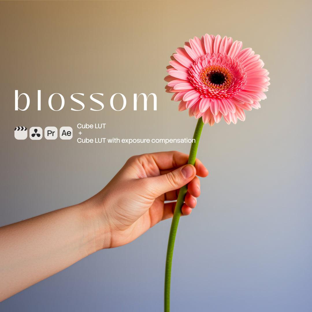 Blossom LUT Pack preview