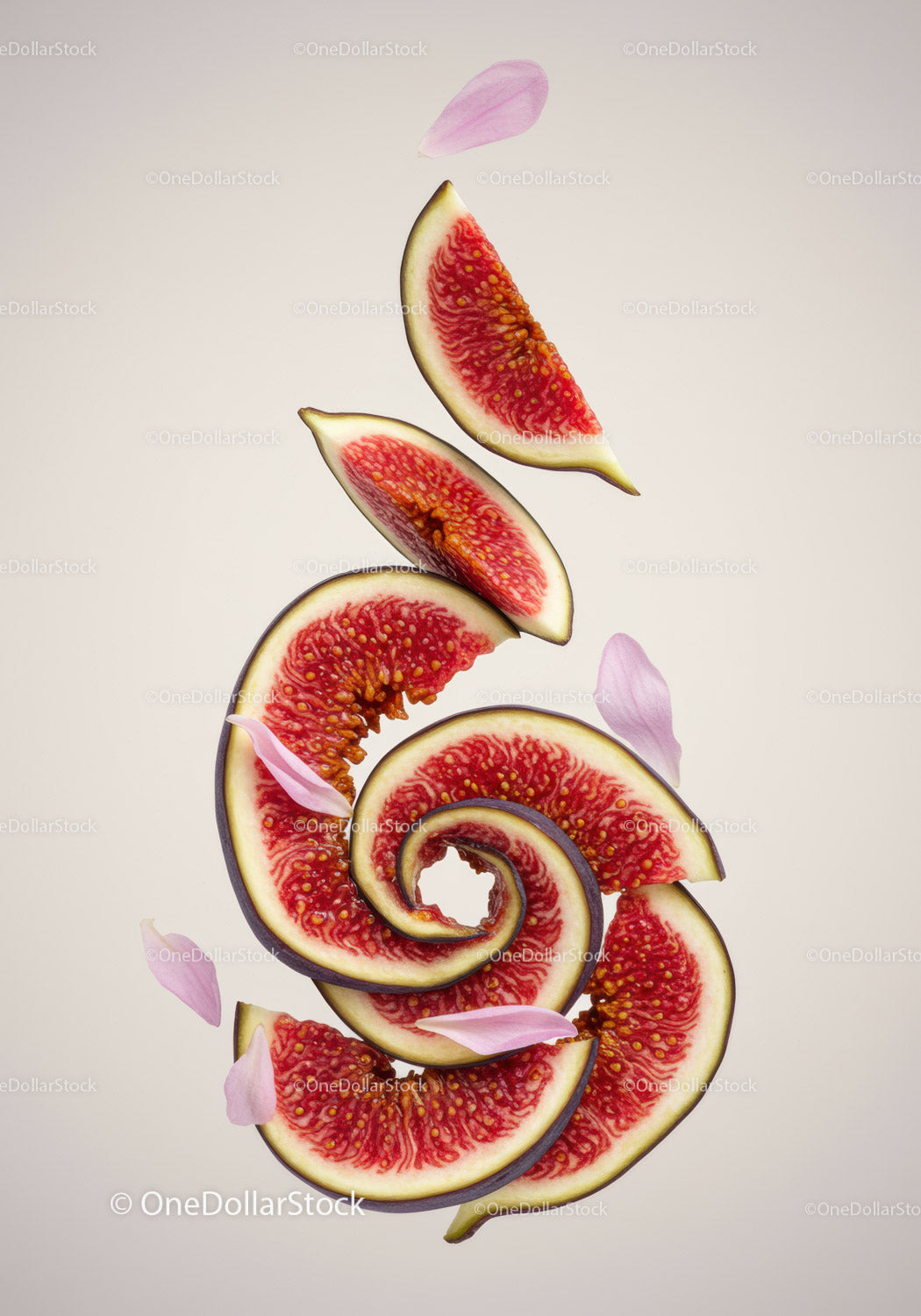 Spiral of Fresh Fig Slices with Delicate Pink Petals