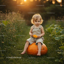 Toddler sitting on pumpkin in golden hour garden