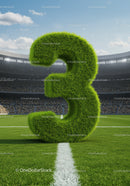 Green Grass Number Three on Soccer Field Center Line