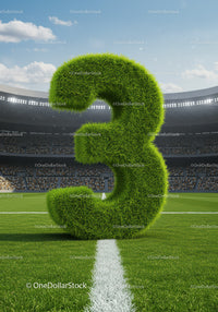 Green Grass Number Three on Soccer Field Center Line