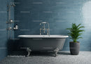 Classic clawfoot bathtub with potted palm in blue bathroom