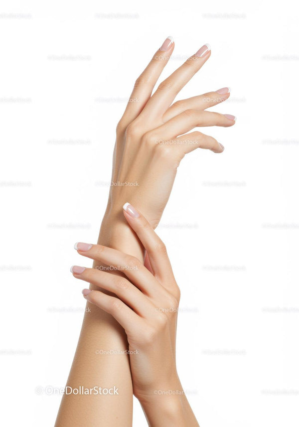 Elegant female hands with French manicure on white background