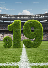 Green Grass Numbers 9 19 on Soccer Field in Stadium