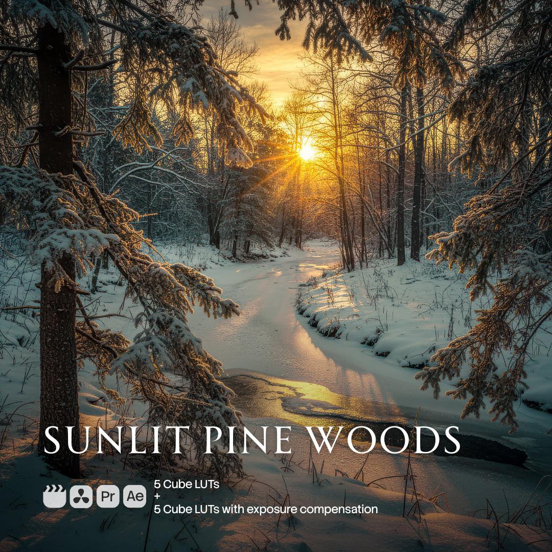 Sunlit Pine Woods LUT Pack (10 LUTs)