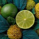 Vibrant Lime and Broccoli Composition for Fresh Food Inspiration