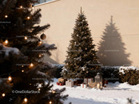 Outdoor Christmas Tree with Lights and Presents in Snow