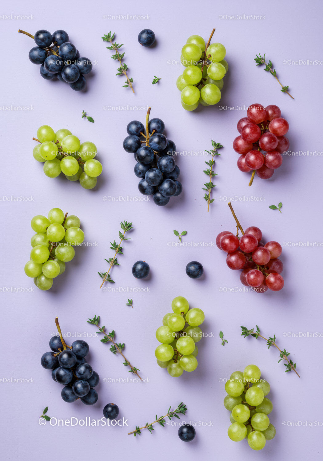 Fresh colorful grapes and thyme on light purple surface