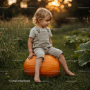 Toddler Sitting on Large Pumpkin in Autumn Field