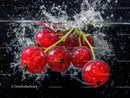 Fresh Cherry Tomatoes Splashing in Water