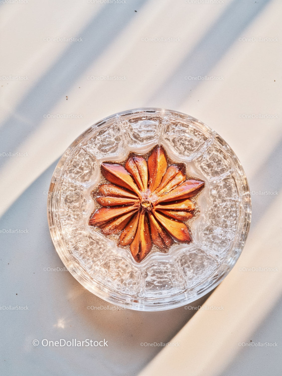 Star Anise Floating in Glass of Sparkling Water