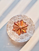 Star Anise Floating in Glass of Sparkling Water