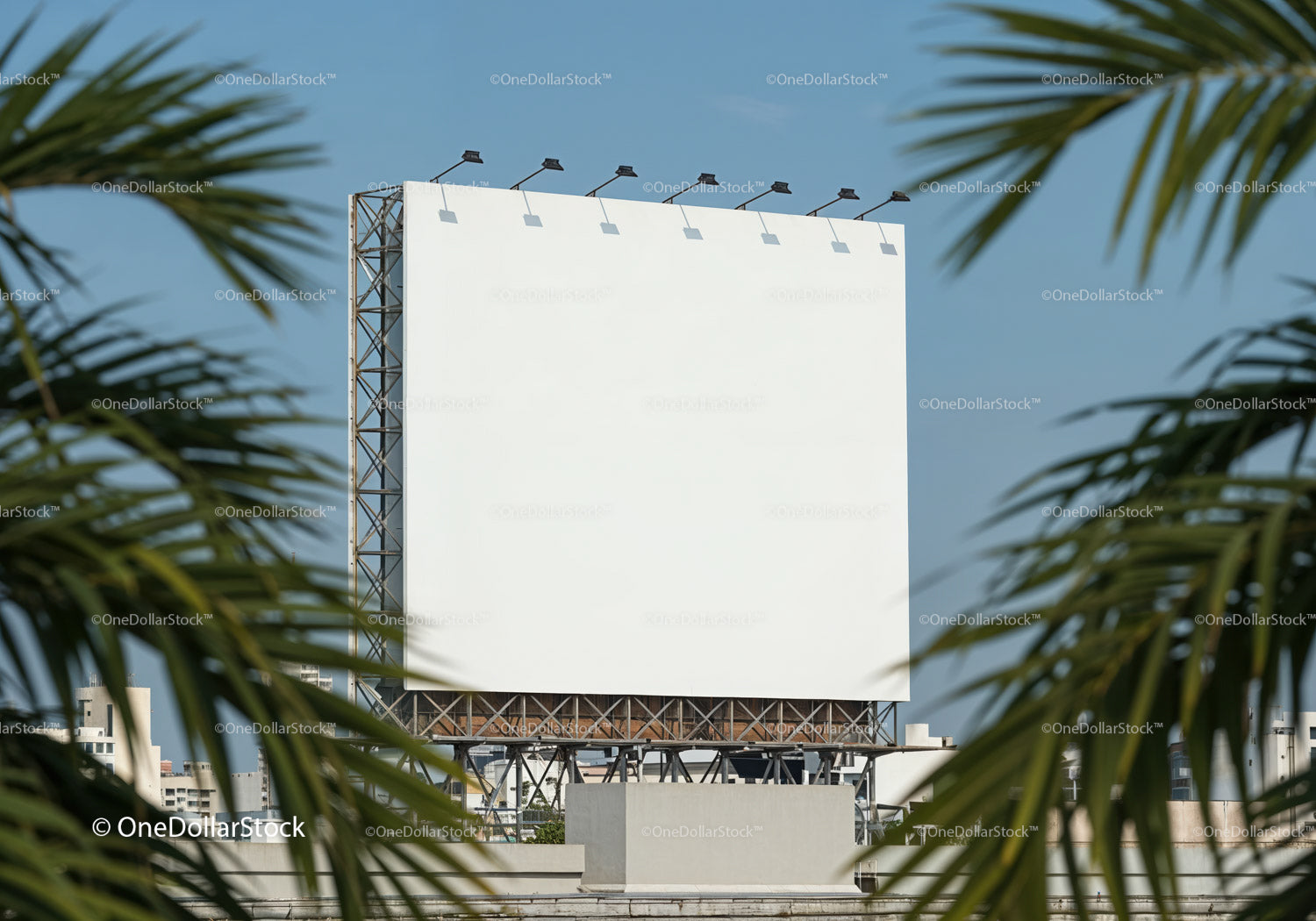 Blank White Billboard in Urban Setting with Palm Trees