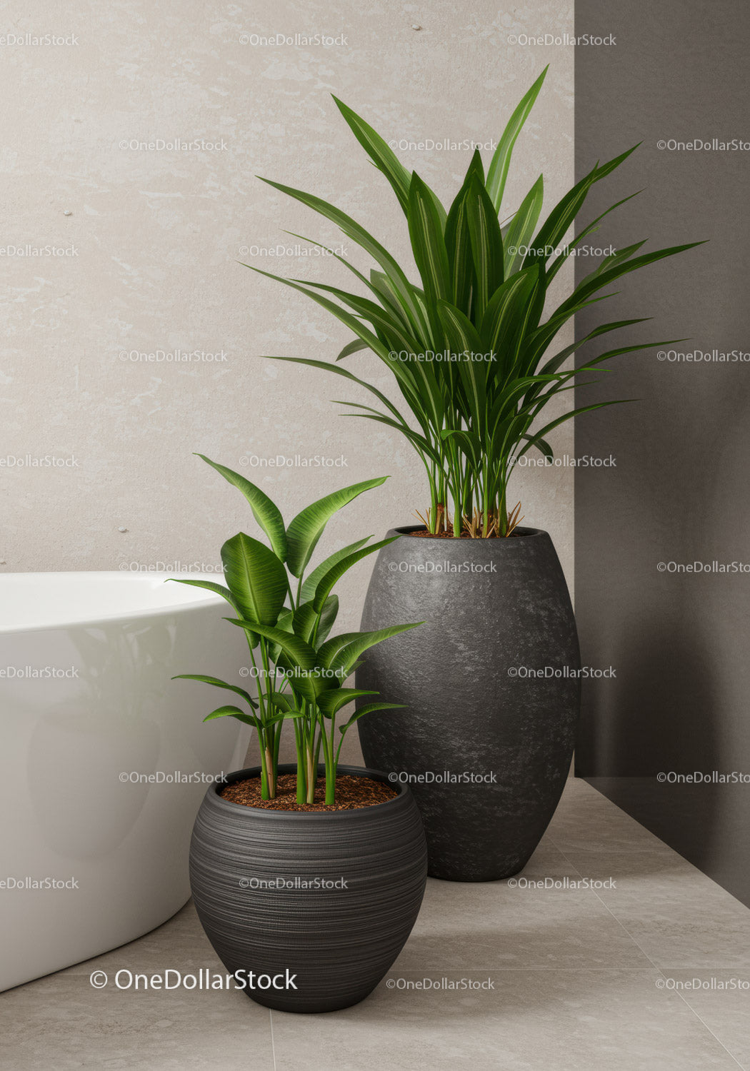 Elegant Indoor Potted Green Foliage Plants for Modern Home Decor
