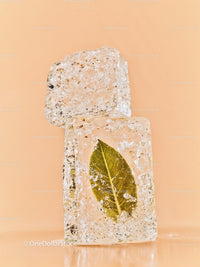 Frozen Leaf Encased Inside Transparent Ice Cubes