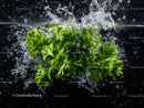 Fresh Green Parsley Leaves Splashing into Water