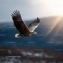 Majestic Eagle in Flight Over Natural Skyscape