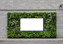 Urban green frame with blank billboard on city wall
