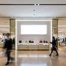 Luxury handbags and accessories displayed in modern store