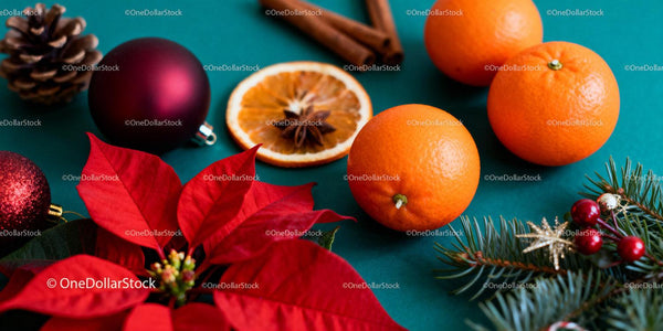 Festive arrangement with poinsettia and winter oranges