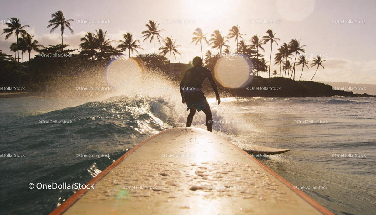Surfer Riding Waves at Sunset Near Tropical Shore