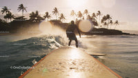 Surfer Riding Waves at Sunset Near Tropical Shore