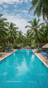 Tropical Resort Swimming Pool Surrounded by Palm Trees and Lounge Chairs