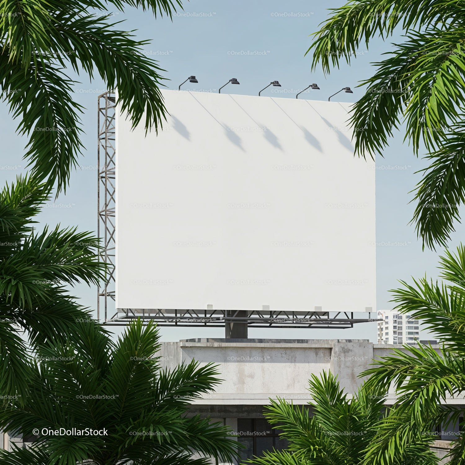 Blank Outdoor Billboard Surrounded by Tropical Palm Trees