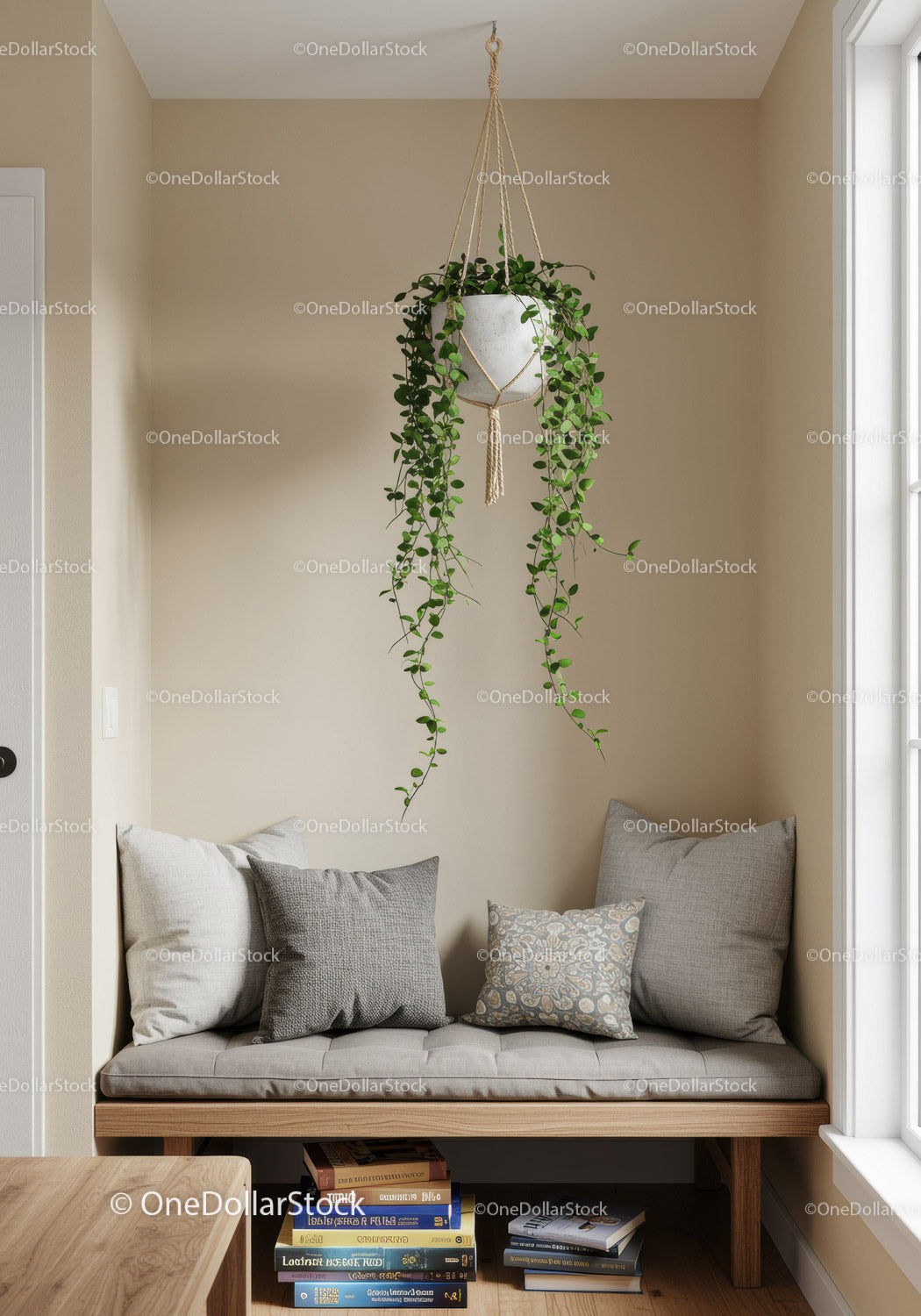 Indoor Green Foliage Plant Hanging in Minimalist Corner