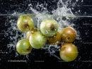 Fresh Green and Brown Onions Splashing Water Underwater Scene