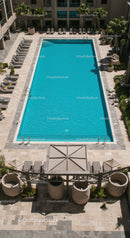 Modern Resort Pool with Lounge Chairs and Palm Trees in Bright Sunlight