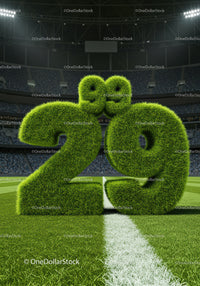 Grass-covered 29th anniversary numbers on soccer field