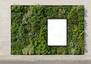 Lush green vertical garden with blank white frame outdoors