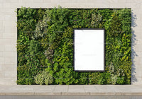 Lush green vertical garden with blank white frame outdoors