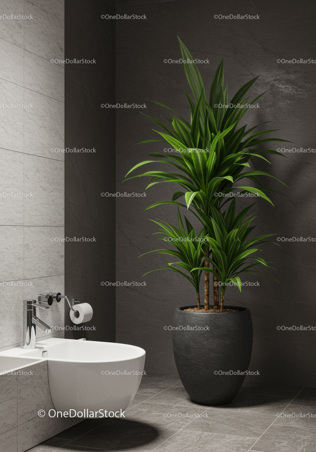 Modern Indoor Plant in Elegant Minimalist Bathroom Scene