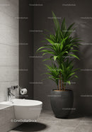 Modern Indoor Plant in Elegant Minimalist Bathroom Scene