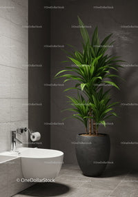 Modern Indoor Plant in Elegant Minimalist Bathroom Scene