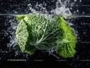 Fresh Green Leaf Lettuce Under Water Splash in Nature Scene