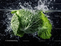 Fresh Green Leaf Lettuce Under Water Splash in Nature Scene