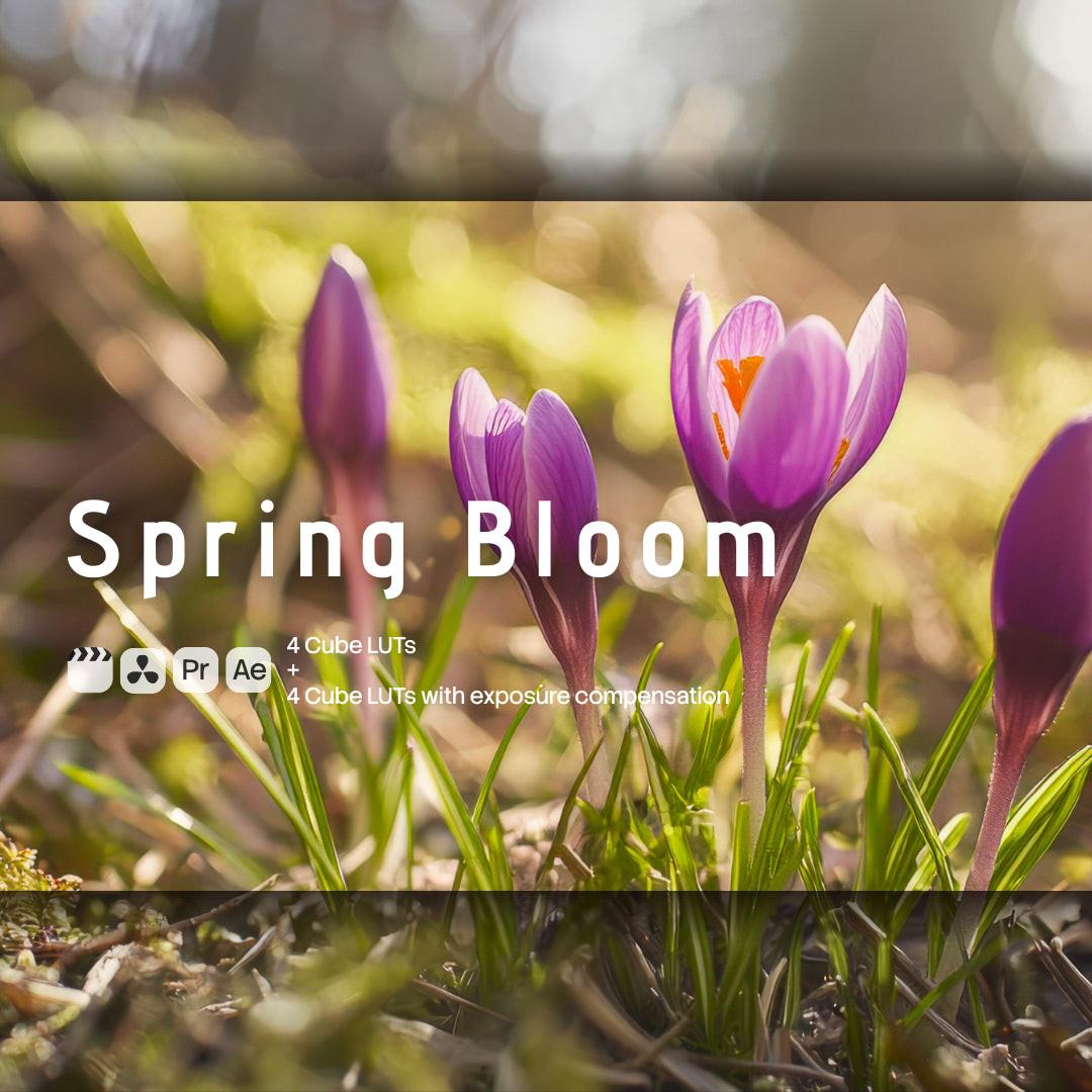 Spring Bloom LUT Pack preview