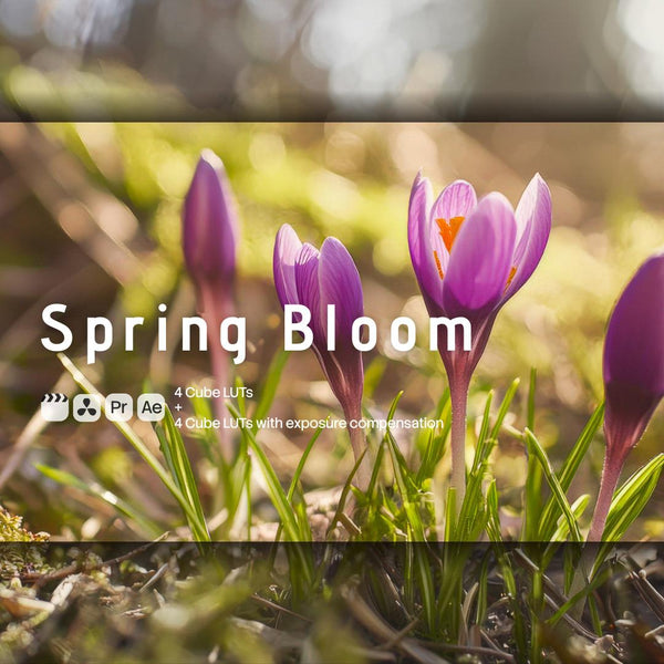 Spring Bloom (8 LUTs)
