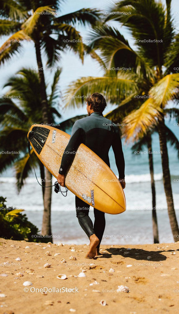 Surfer Walking Towards Ocean Through Sandy Beach
