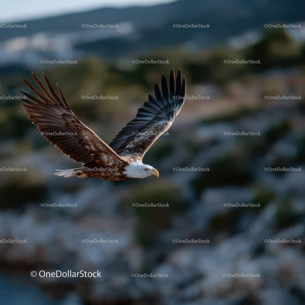 Majestic Bald Eagle in Flight Over Natural Wilderness