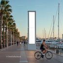 Urban waterfront promenade with palm trees and cyclists