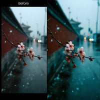 Before and after Cinematic Nature LUT Pack effect